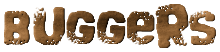Catdra Logo