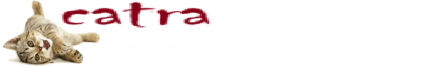 Catdra Logo